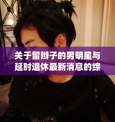 关于留辫子的男明星与延时退休最新消息的综合解读与警示