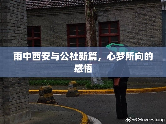 雨中西安与公社新篇，心梦所向的感悟