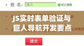 JS实时表单验证与巨人导航开发要点概览