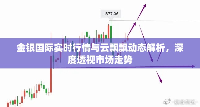 金银国际实时行情与云飘飘动态解析，深度透视市场走势