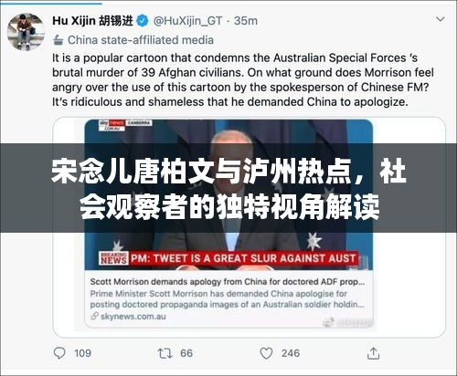 宋念儿唐柏文与泸州热点，社会观察者的独特视角解读