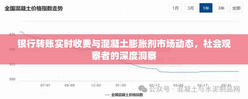 银行转账实时收费与混凝土膨胀剂市场动态，社会观察者的深度洞察