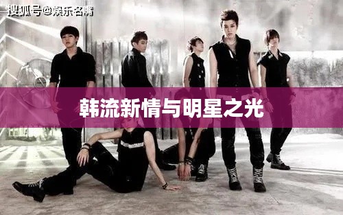 韩流新情与明星之光