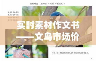 实时素材作文书——文鸟市场价格的综合探讨