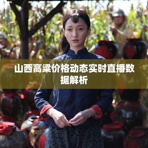 山西高粱价格动态实时直播数据解析