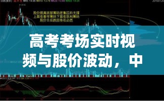 高考考场实时视频与股价波动，中简科技的观察与探索