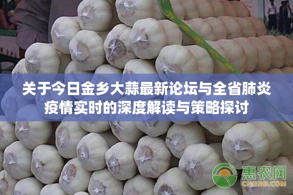 关于今日金乡大蒜最新论坛与全省肺炎疫情实时的深度解读与策略探讨