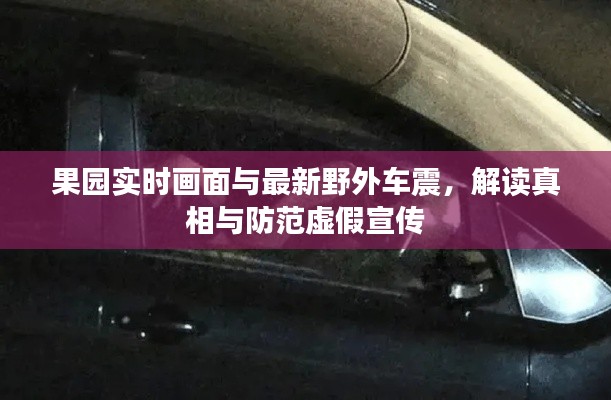 果园实时画面与最新野外车震，解读真相与防范虚假宣传