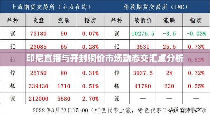 2026年1月16日 第4页