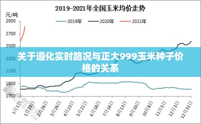 关于遵化实时路况与正大999玉米种子价格的关系