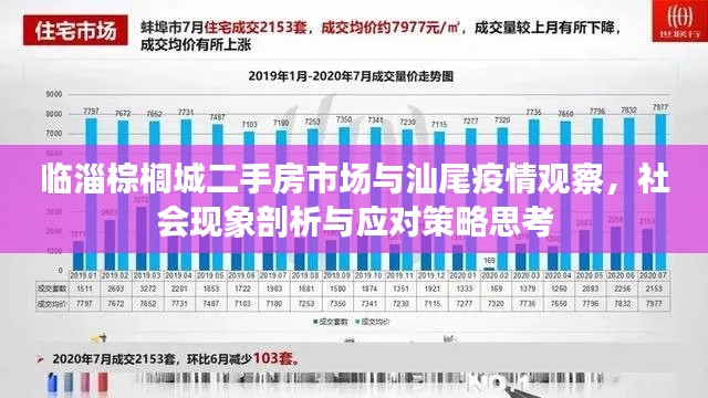 临淄棕榈城二手房市场与汕尾疫情观察，社会现象剖析与应对策略思考