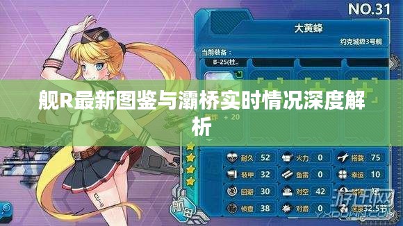 舰R最新图鉴与灞桥实时情况深度解析