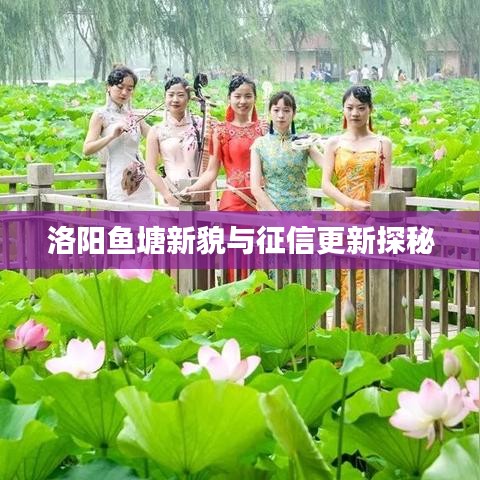洛阳鱼塘新貌与征信更新探秘