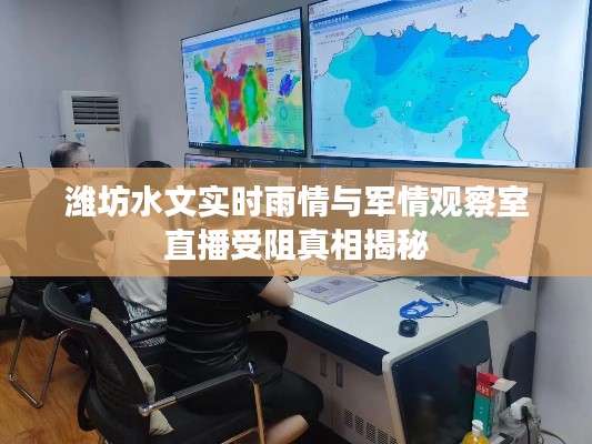 潍坊水文实时雨情与军情观察室直播受阻真相揭秘