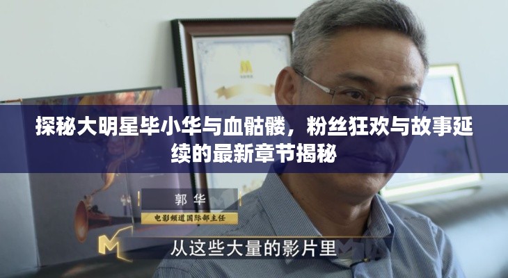 探秘大明星毕小华与血骷髅，粉丝狂欢与故事延续的最新章节揭秘