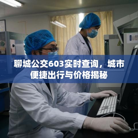 聊城公交603实时查询，城市便捷出行与价格揭秘