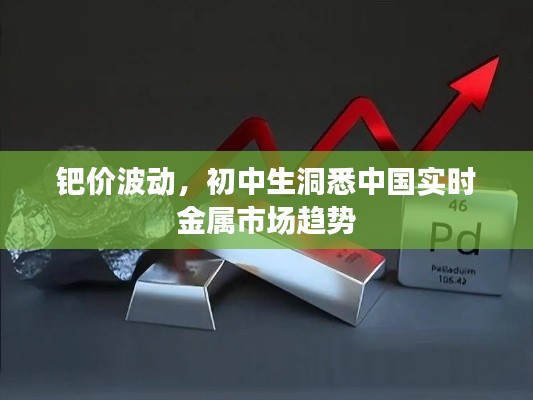 钯价波动，初中生洞悉中国实时金属市场趋势