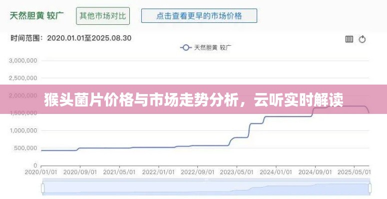 猴头菌片价格与市场走势分析，云听实时解读