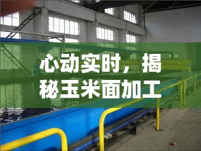心动实时，揭秘玉米面加工机器价格奥秘