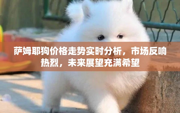 萨姆耶狗价格走势实时分析，市场反响热烈，未来展望充满希望
