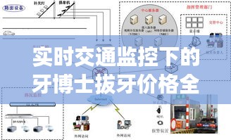 实时交通监控下的牙博士拔牙价格全面解析