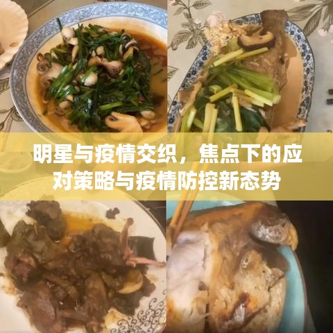 明星与疫情交织，焦点下的应对策略与疫情防控新态势