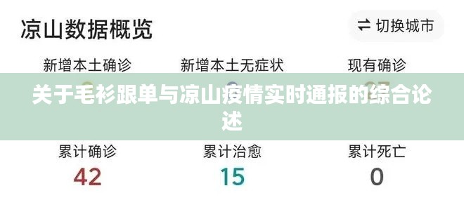 关于毛衫跟单与凉山疫情实时通报的综合论述