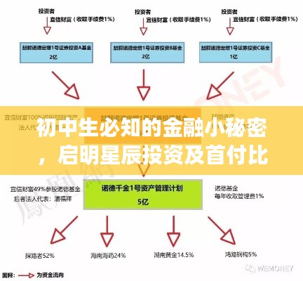 初中生必知的金融小秘密，启明星辰投资及首付比例详解