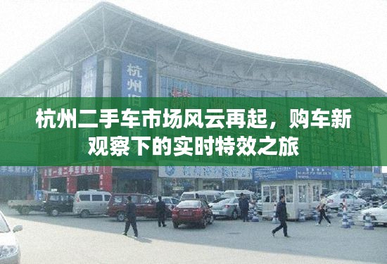 杭州二手车市场风云再起，购车新观察下的实时特效之旅