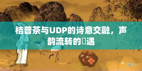 桔普茶与UDP的诗意交融，声韵流转的邅遇