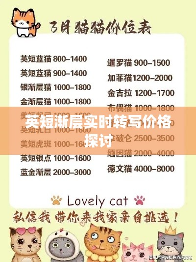 英短渐层实时转写价格探讨