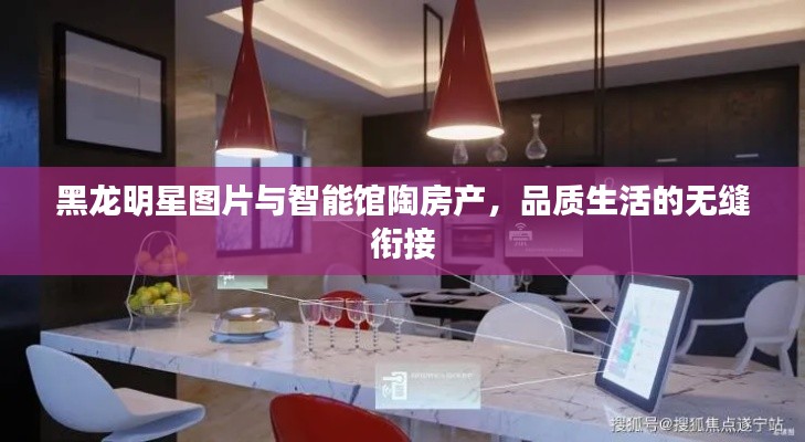黑龙明星图片与智能馆陶房产，品质生活的无缝衔接