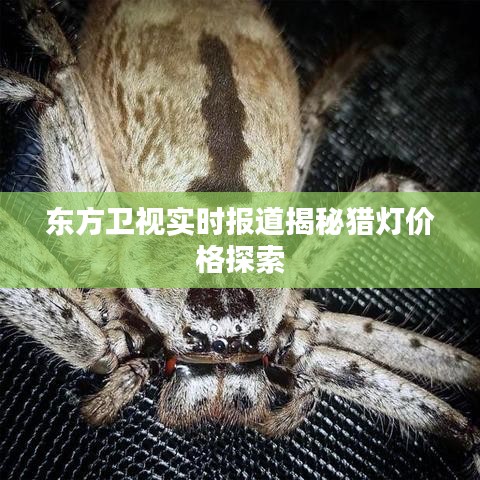 东方卫视实时报道揭秘猎灯价格探索