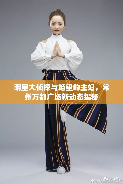 明星大侦探与绝望的主妇,常州万都广场新动态揭秘