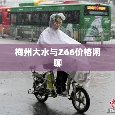 梅州大水与Z66价格闲聊