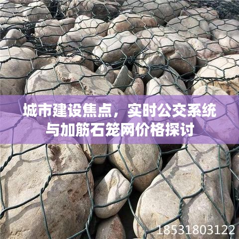 城市建设焦点，实时公交系统与加筋石笼网价格探讨