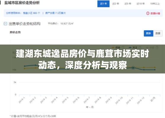 建湖东城逸品房价与鹿茸市场实时动态，深度分析与观察