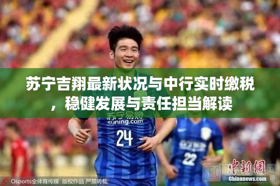 苏宁吉翔最新状况与中行实时缴税，稳健发展与责任担当解读