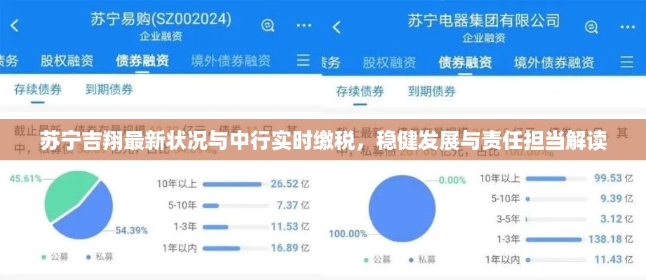 苏宁吉翔最新状况与中行实时缴税,稳健发展与责任担当解读