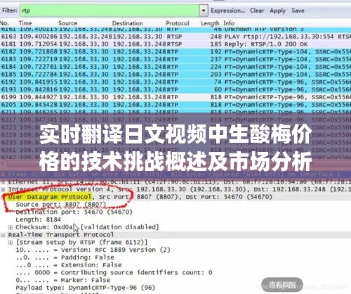 实时翻译日文视频中生酸梅价格的技术挑战概述及市场分析