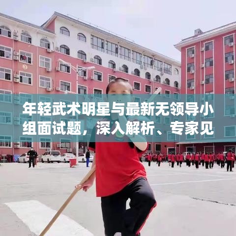 年轻武术明星与最新无领导小组面试题,深入解析、专家见解与防范策略