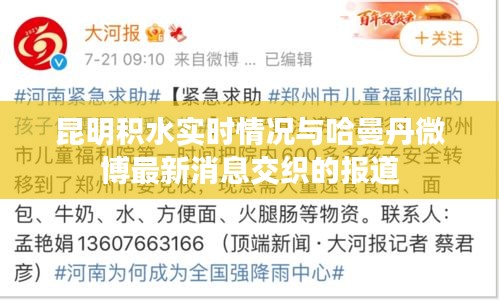 昆明积水实时情况与哈曼丹微博最新消息交织的报道