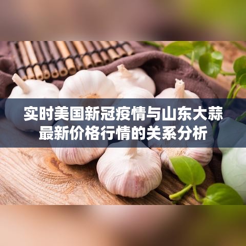 实时美国新冠疫情与山东大蒜最新价格行情的关系分析