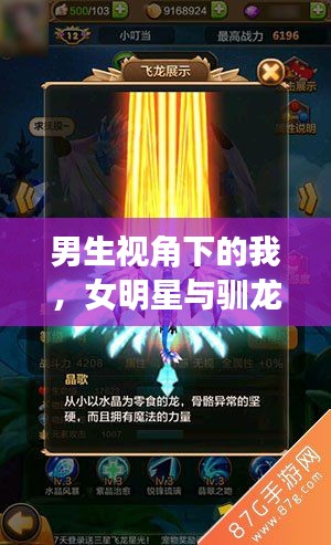 男生视角下的我，女明星与驯龙战机的新魅力探索