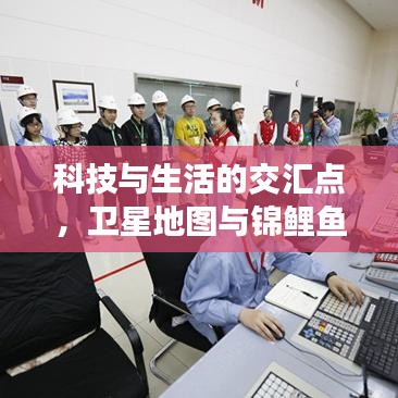 科技与生活的交汇点,卫星地图与锦鲤鱼价格的探索