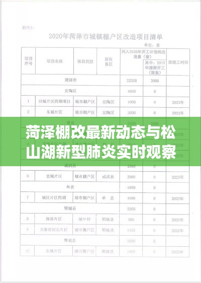 菏泽棚改最新动态与松山湖新型肺炎实时观察