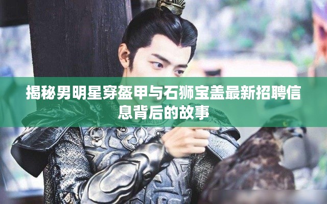 揭秘男明星穿盔甲与石狮宝盖最新招聘信息背后的故事
