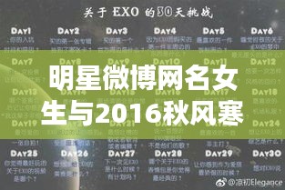 明星微博网名女生与2016秋风寒最新小说,深度解读与价值剖析