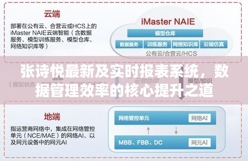 张诗悦最新及实时报表系统,数据管理效率的核心提升之道
