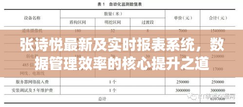张诗悦最新及实时报表系统,数据管理效率的核心提升之道